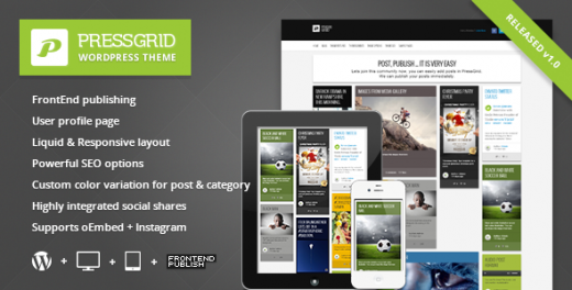 22 Reliable January Premium Themes for WordPress 2013